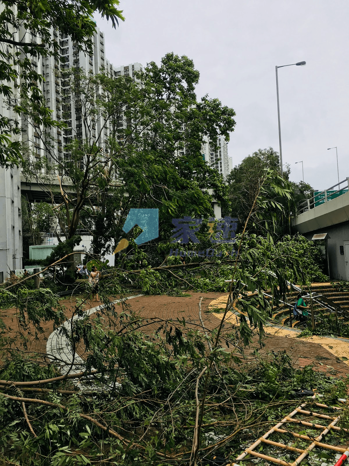筲箕灣道56號 屋苑外觀