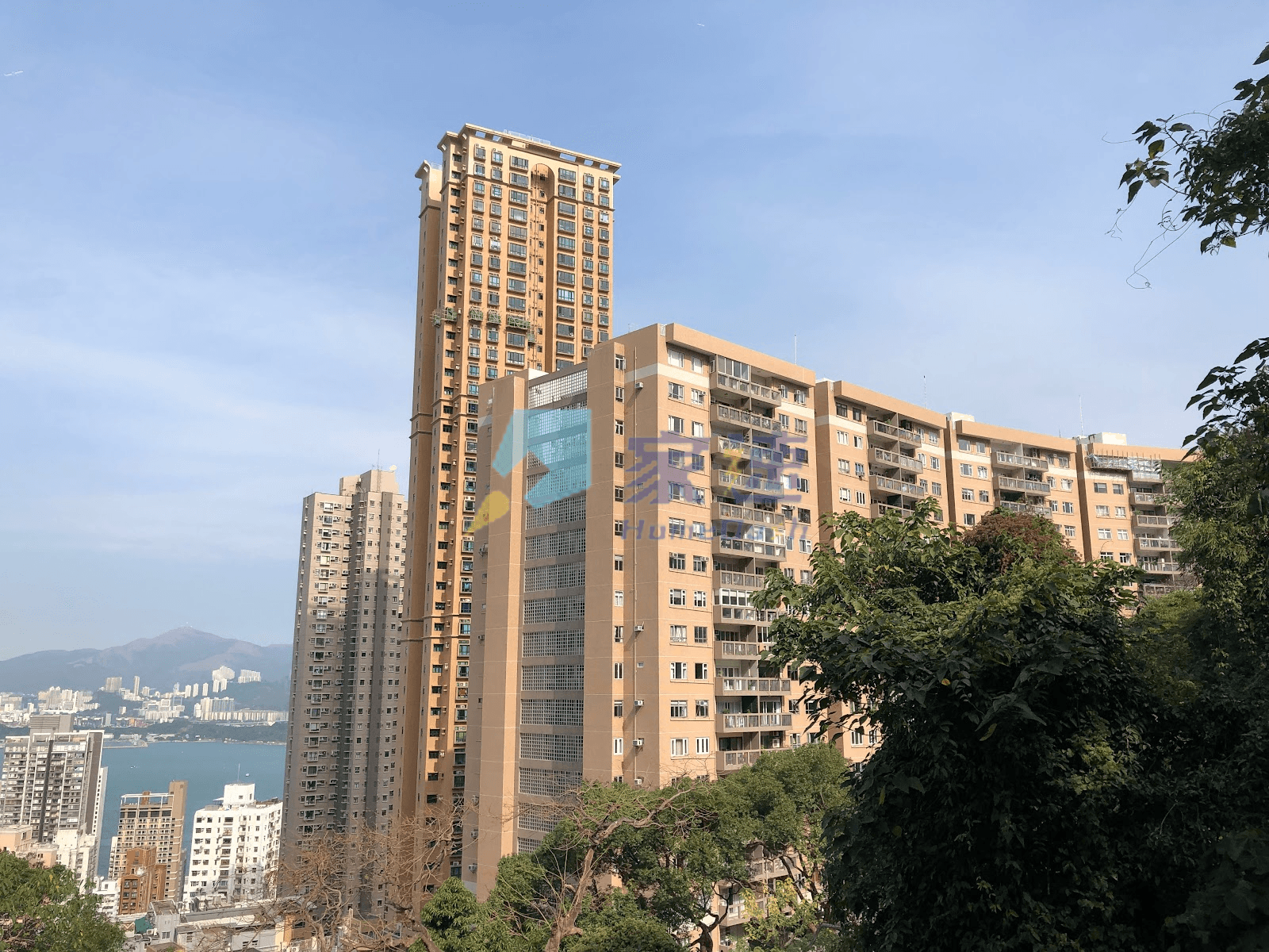 干德道41B號 屋苑外觀