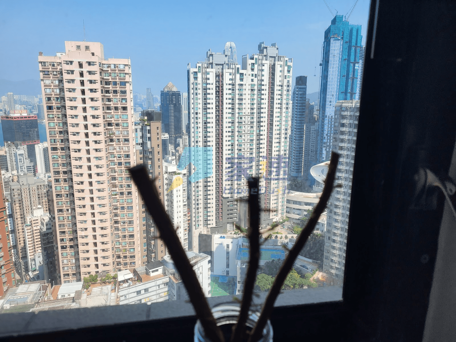羅便臣道44號 屋苑外觀