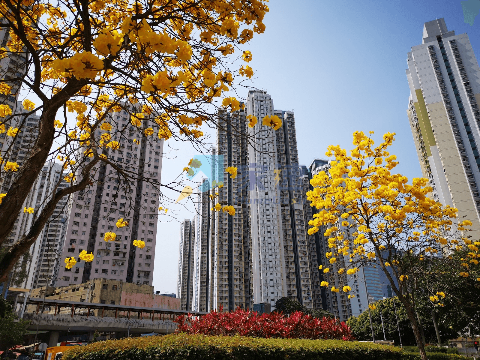 兆景樓 屋苑外觀