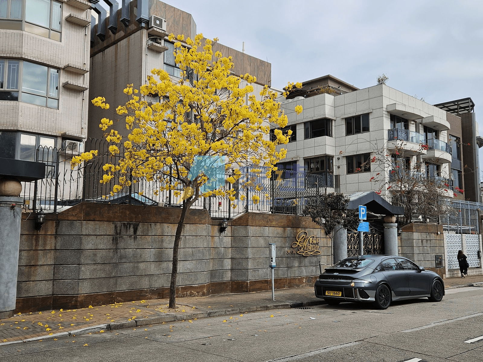 豪福苑 屋苑外觀
