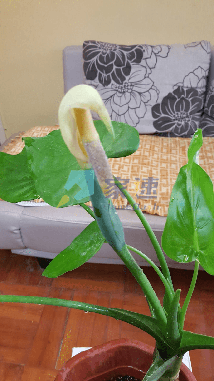 昌喜樓 屋苑外觀