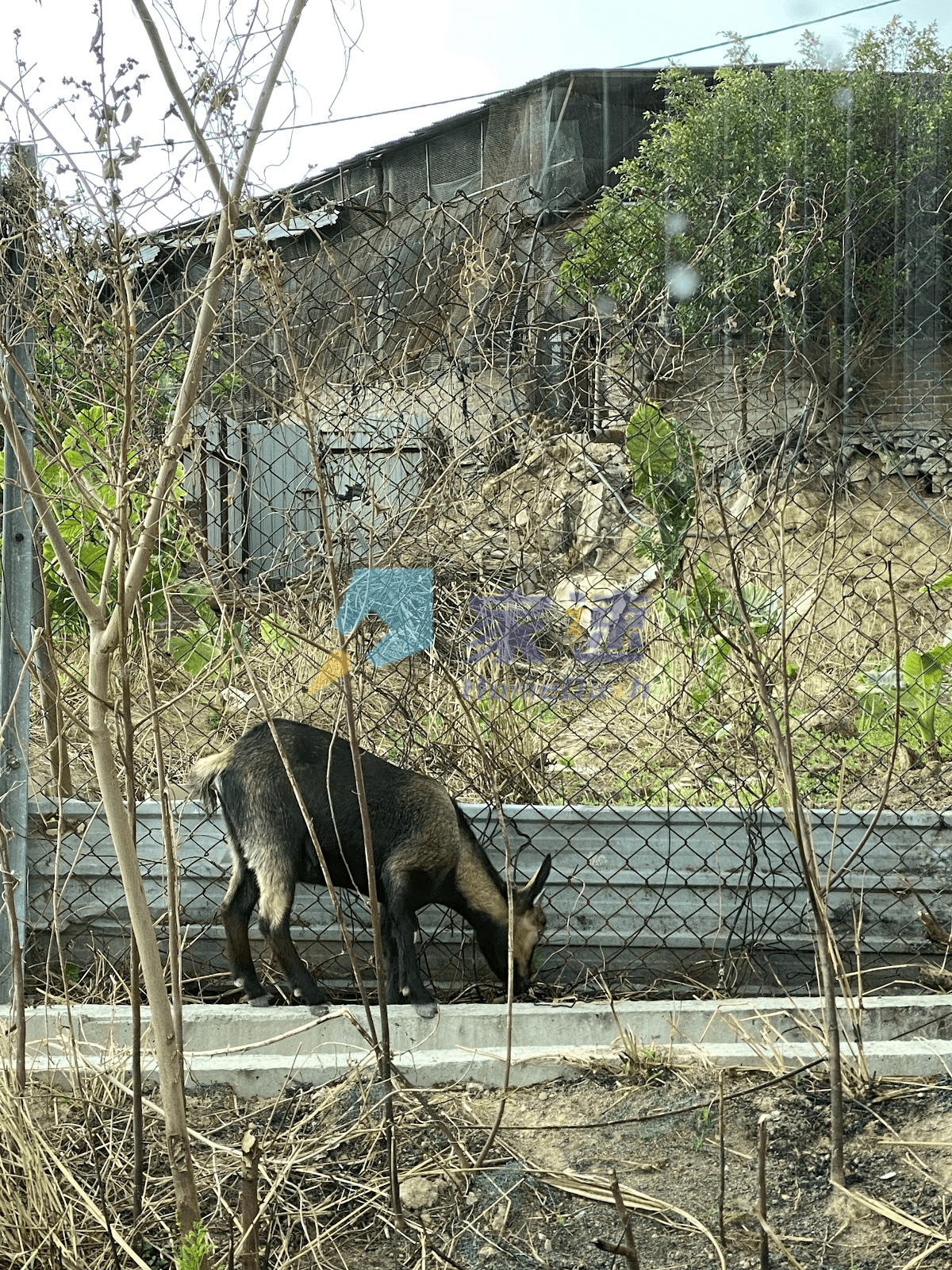 入建花園 屋苑外觀