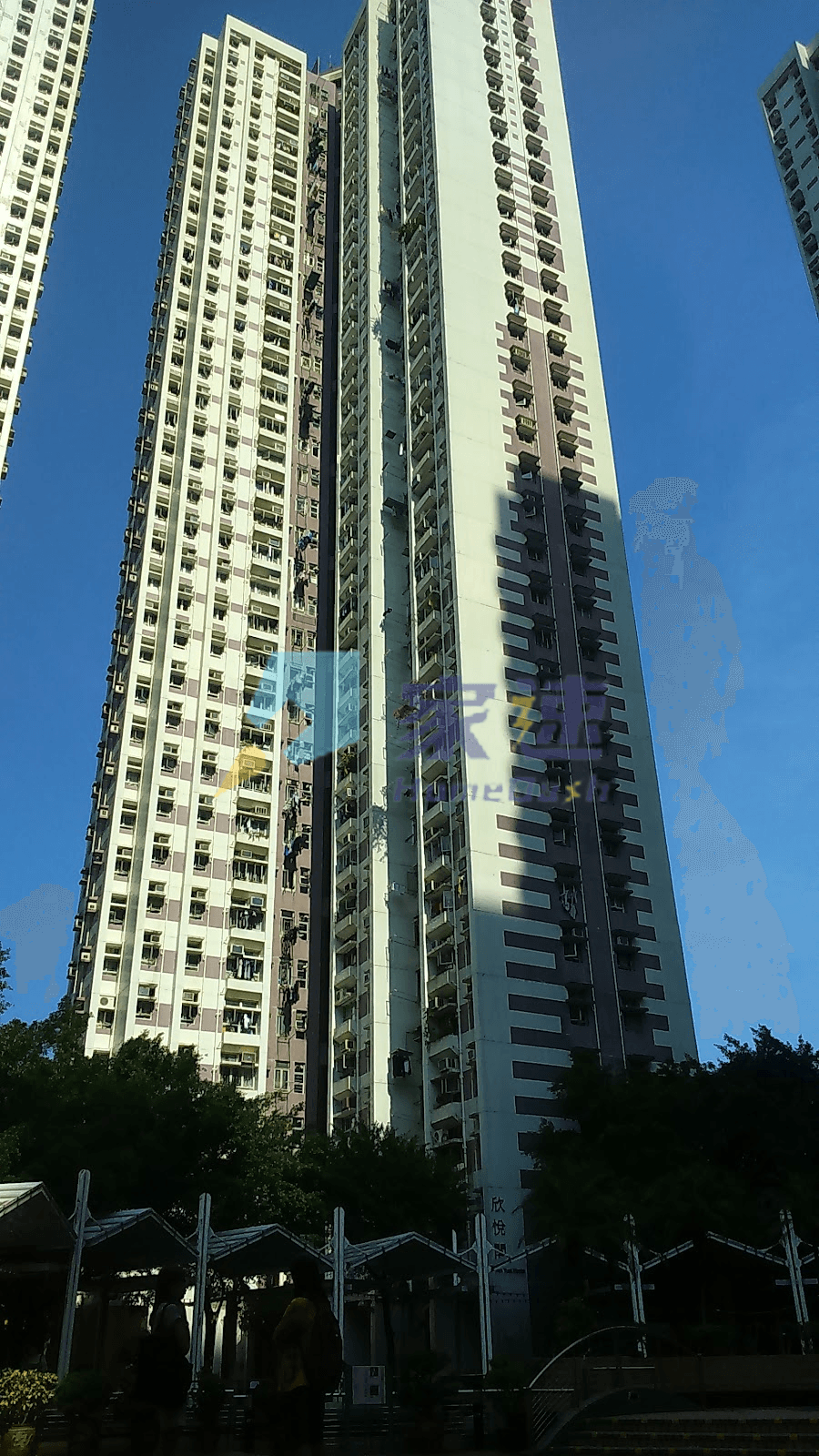 欣盛苑 屋苑外觀