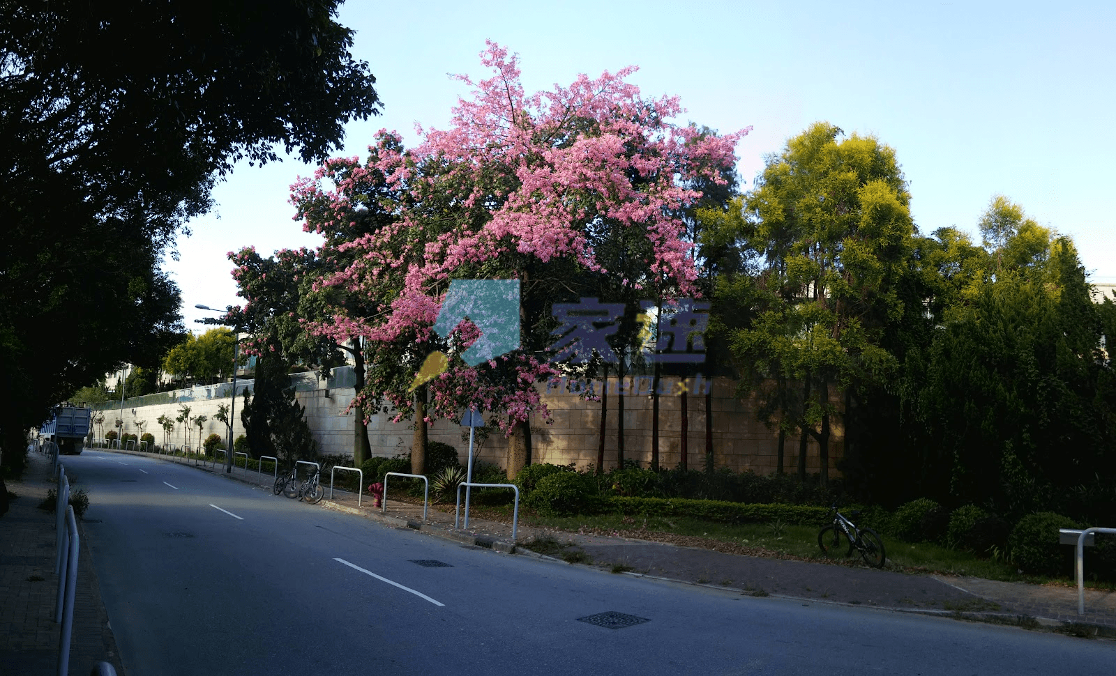 葡萄園 屋苑外觀