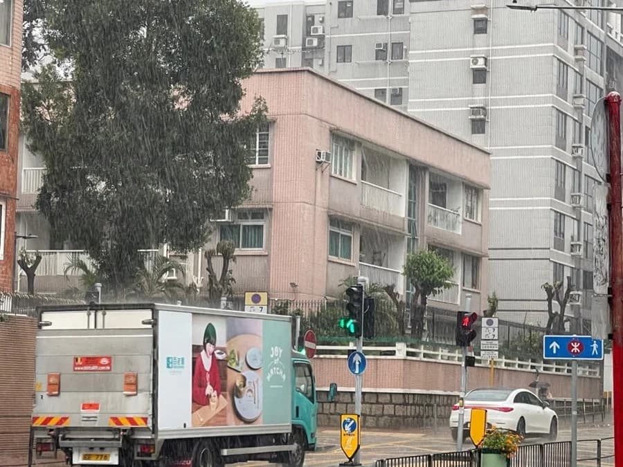 海棠路2A號 屋苑外觀