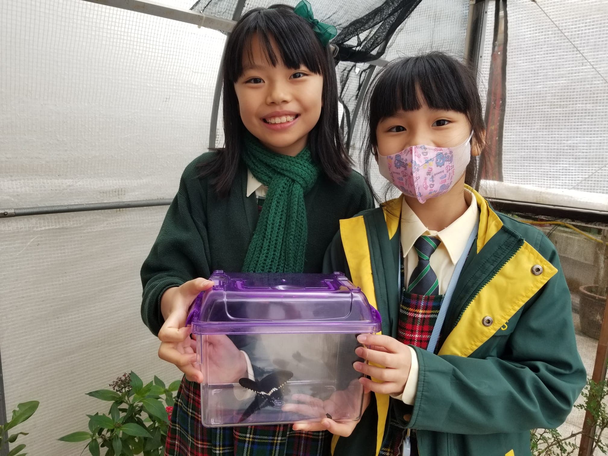 培基小學 蝴蝶大使享受跟不同品種的蝴蝶做朋友