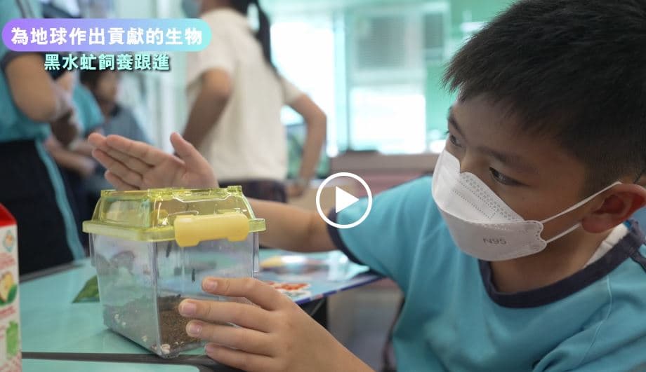 新界婦孺福利會梁省德學校 下午跨學科課程--大自然小偵探(黑水虻飼養)