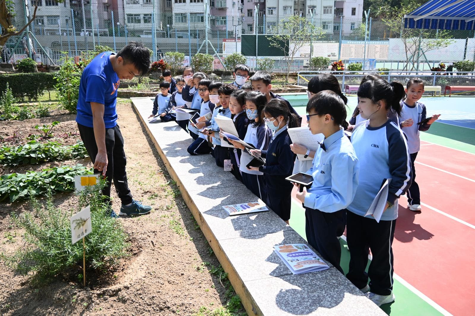 柴灣角天主教小學 校本中草藥研習