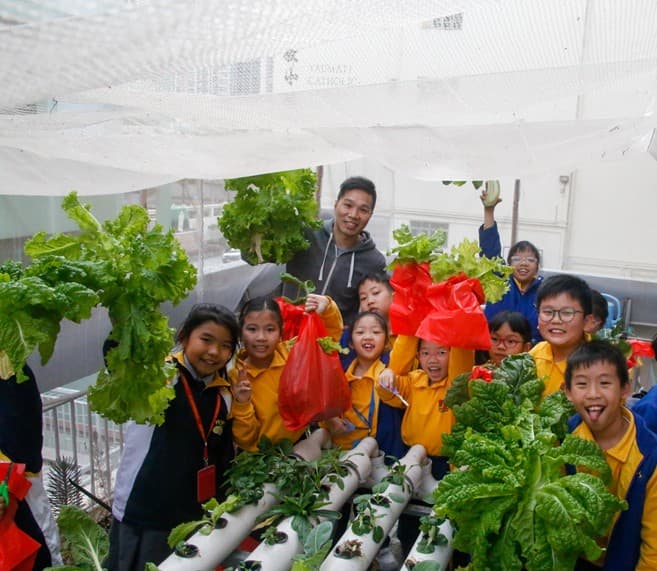 油蔴地天主教小學 學校資料