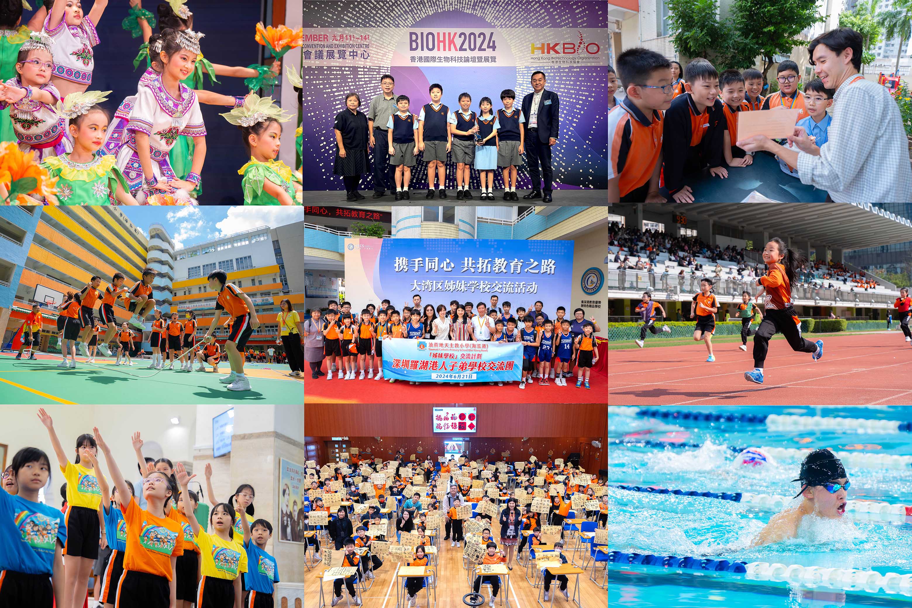 油蔴地天主教小學(海泓道) 學校資料