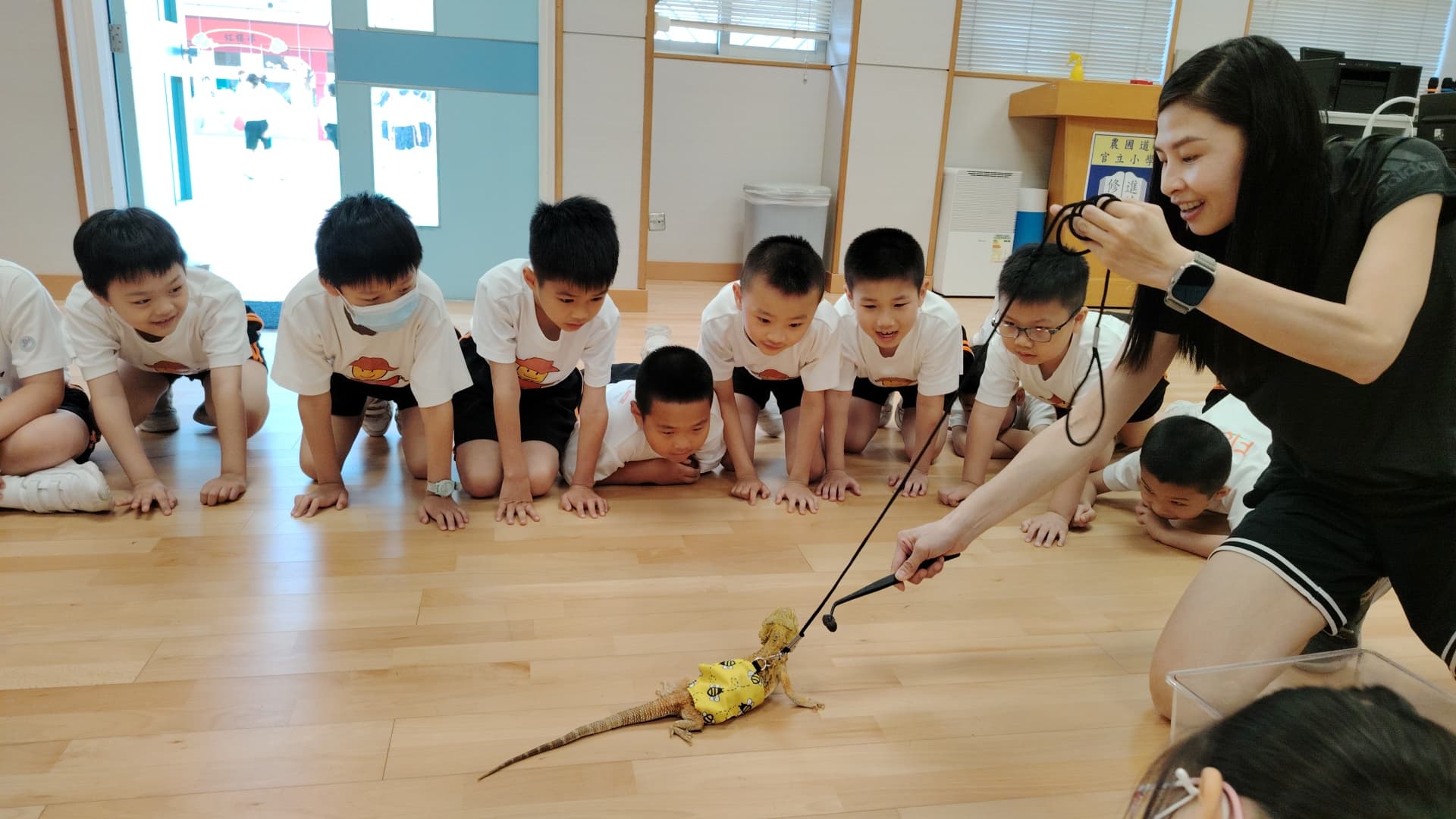農圃道官立小學 鬃獅蜥觀察體驗
