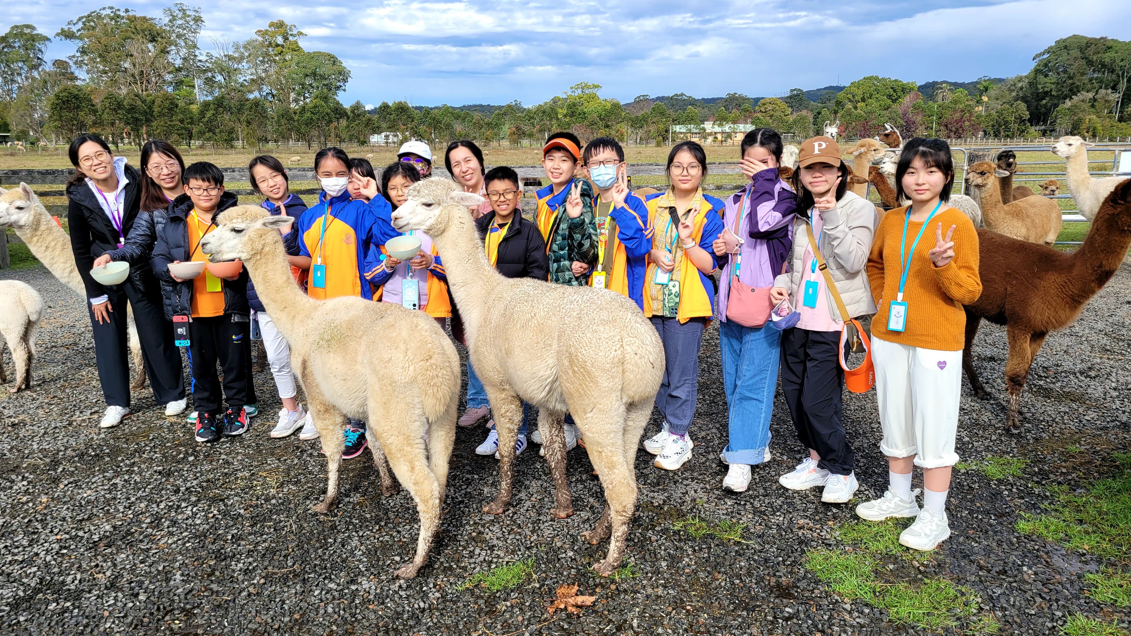 東華三院周演森小學 本校舉辦境外遊學團，讓同學跳出課室，體驗不一樣的學習之旅！