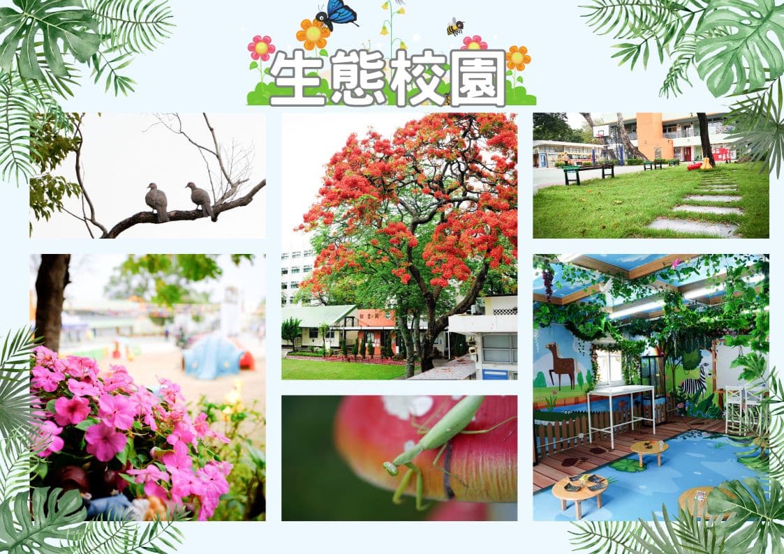 金錢村何東學校 生態校園