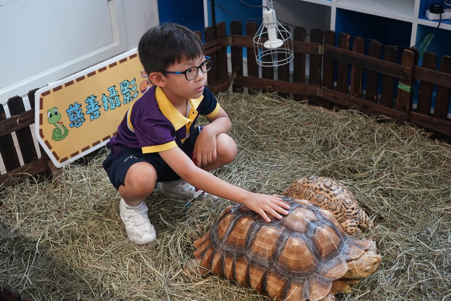 中華基督教會全完第一小學 校園生活