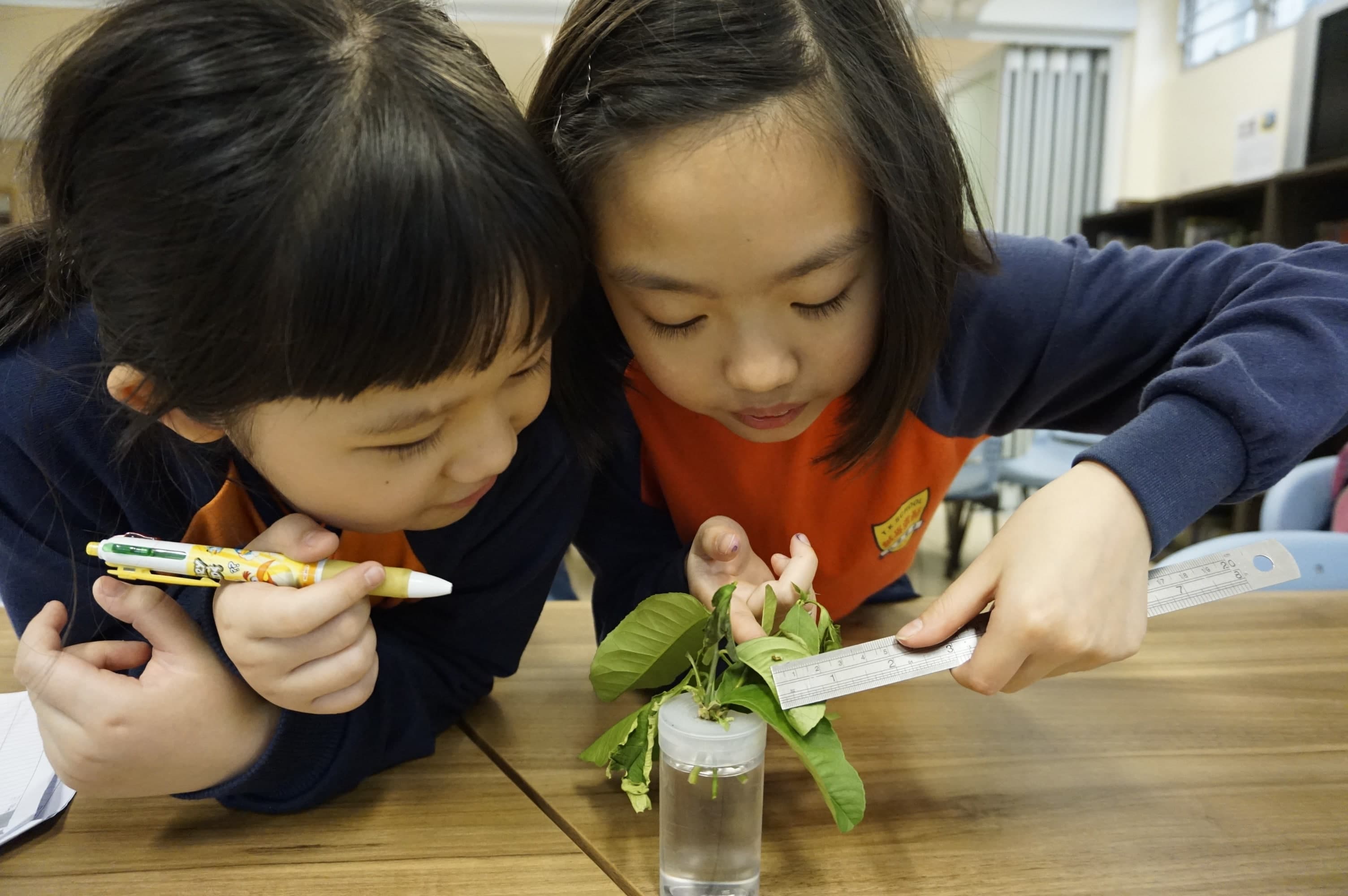 元朗朗屏邨東莞學校 動手體驗探索，增潤學生的學習經歷