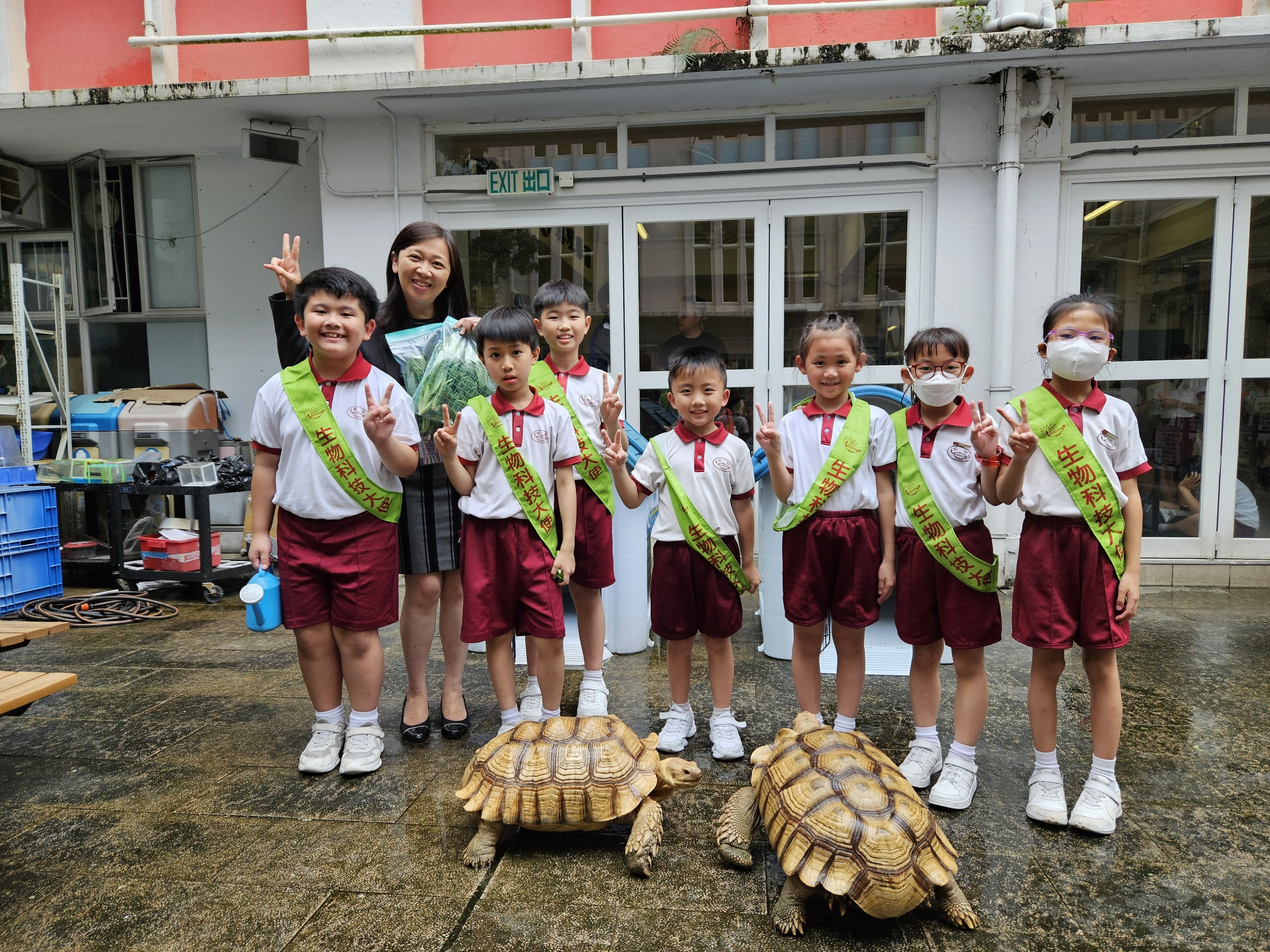 中華基督教會協和小學 我校的盾臂龜