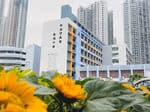 港澳信義會慕德中學校舍相片