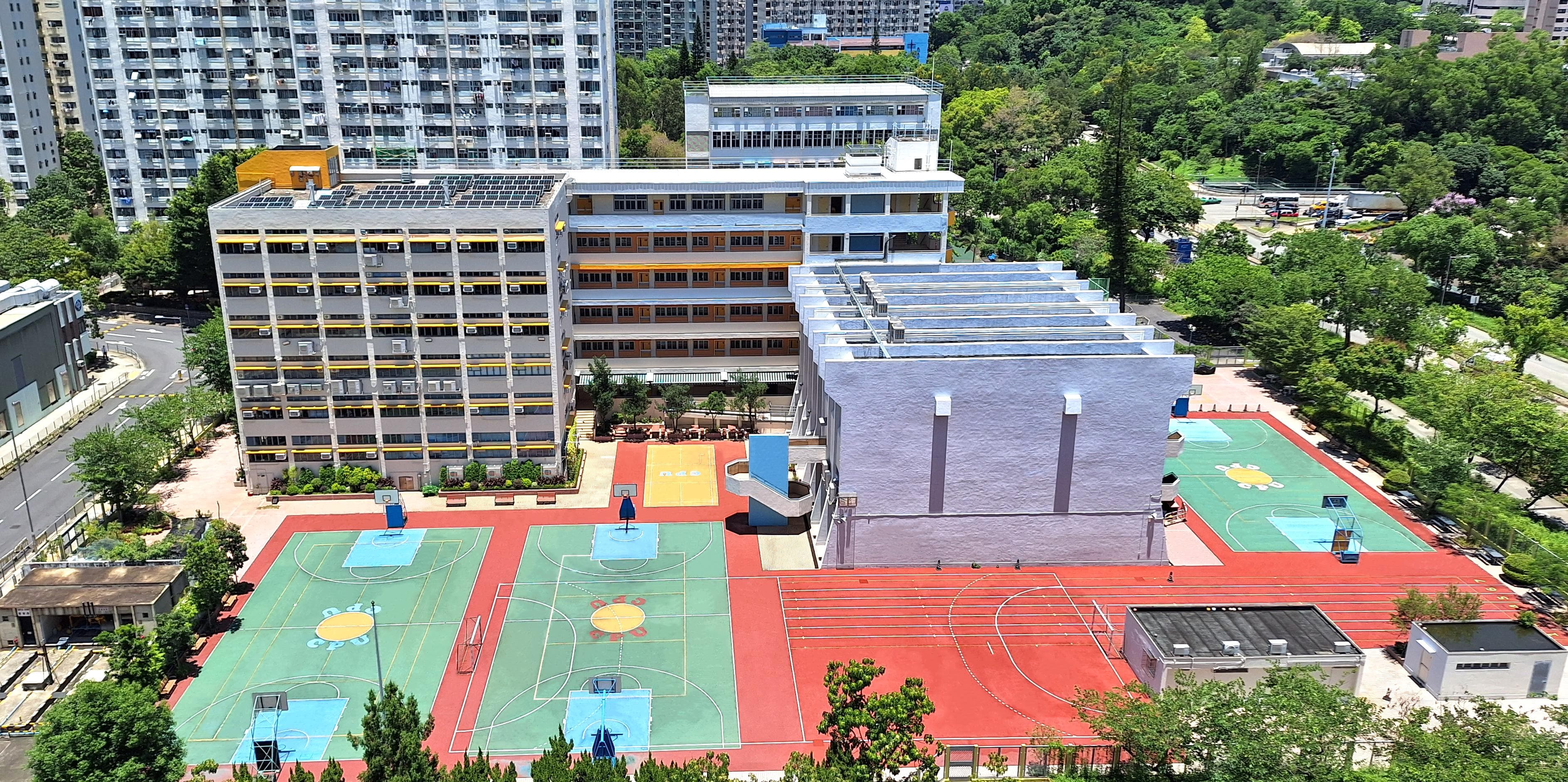迦密柏雨中學校舍相片