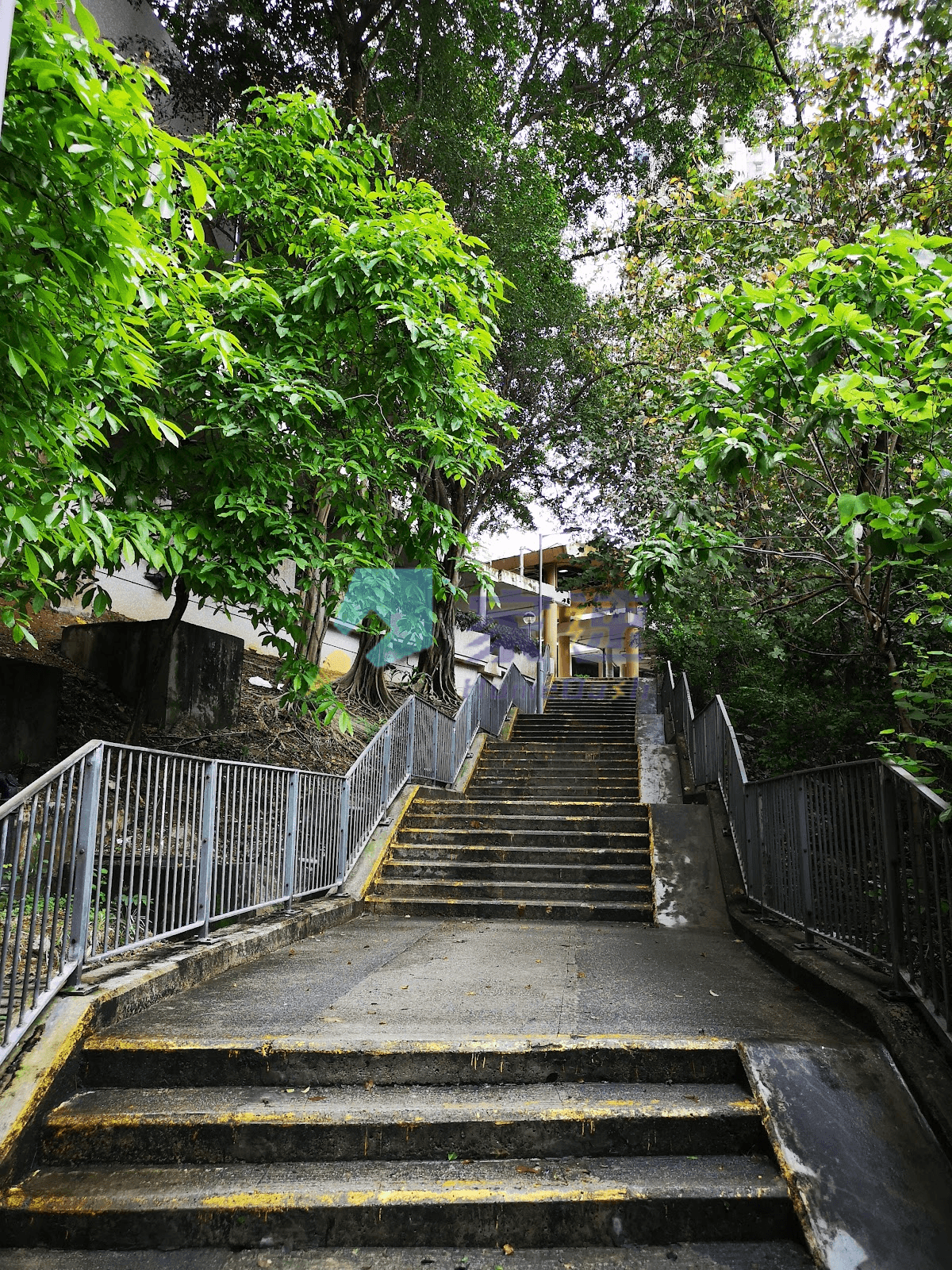 上葵涌村 屋苑外觀