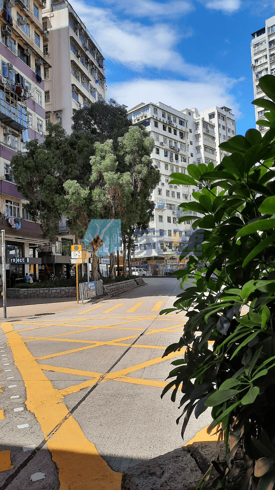大埔樓 屋苑外觀
