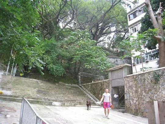 紫蘭樓 屋苑外觀