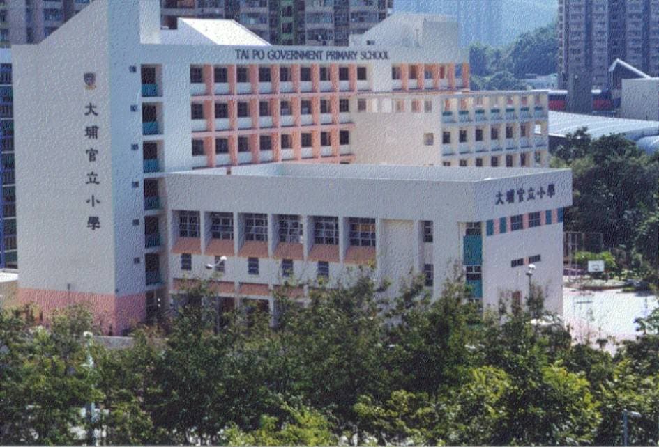 大埔官立小學 校舍相片