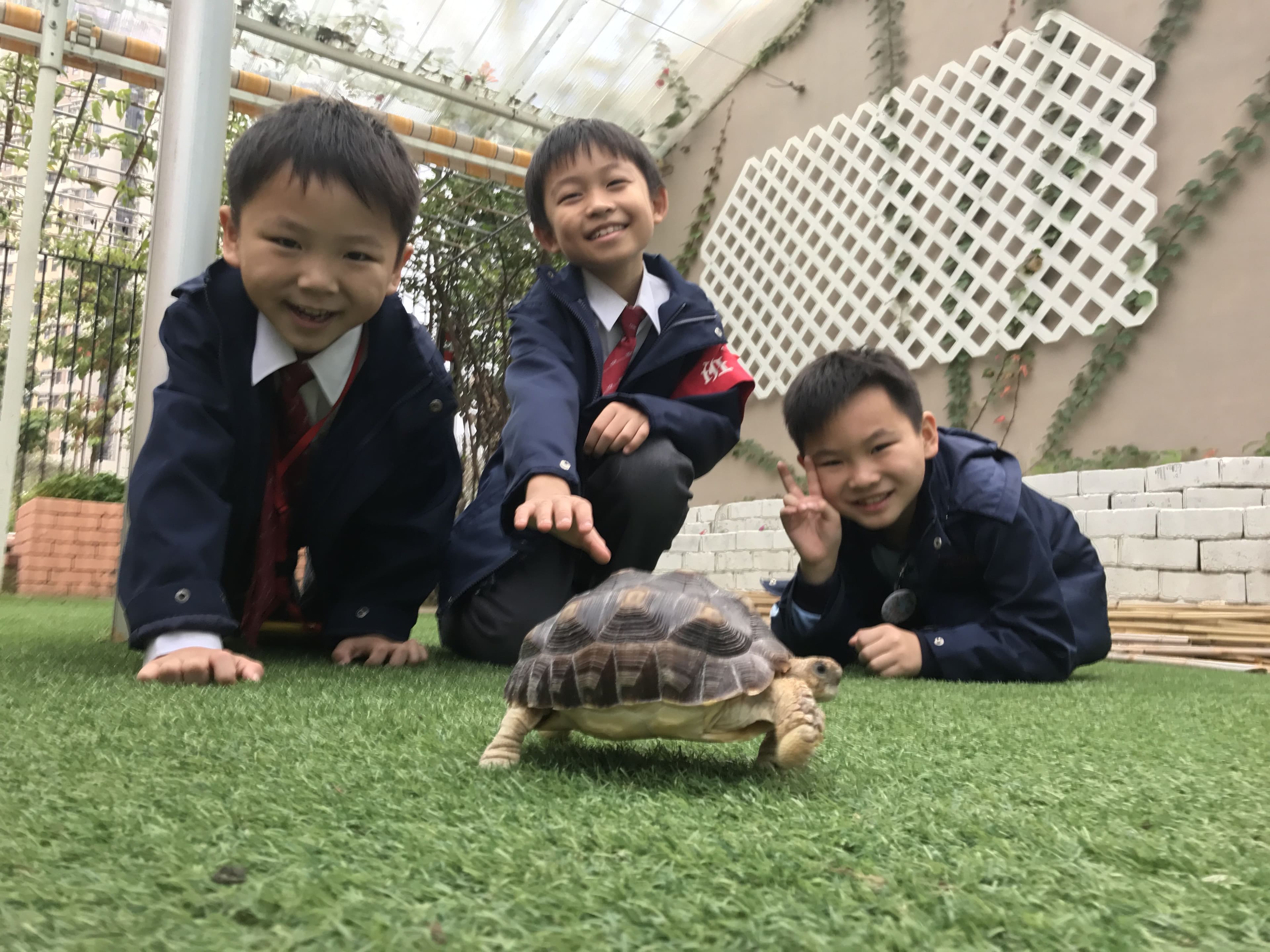 仁濟醫院羅陳楚思小學 楚思生態園