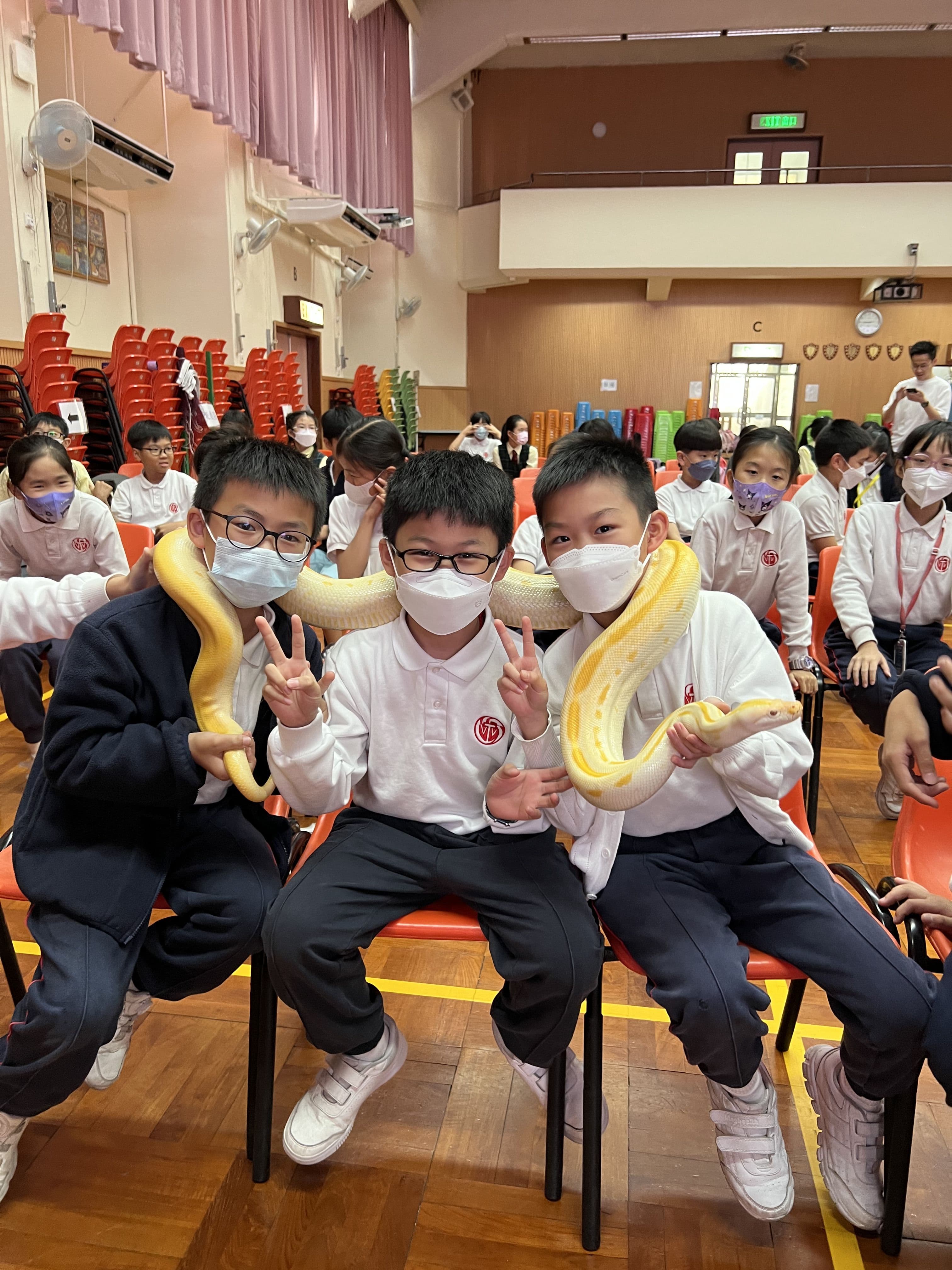 天水圍天主教小學 動物全接觸